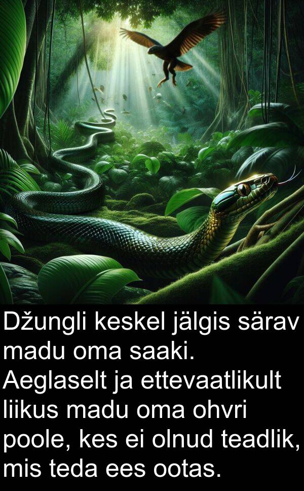 jälgis: Džungli keskel jälgis särav madu oma saaki. Aeglaselt ja ettevaatlikult liikus madu oma ohvri poole, kes ei olnud teadlik, mis teda ees ootas.