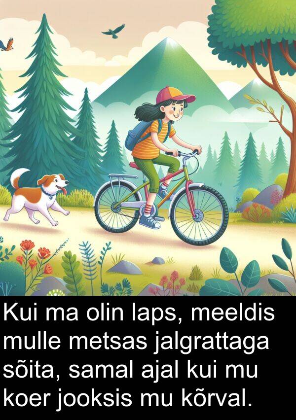 sõita: Kui ma olin laps, meeldis mulle metsas jalgrattaga sõita, samal ajal kui mu koer jooksis mu kõrval.
