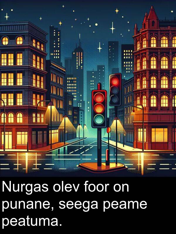 foor: Nurgas olev foor on punane, seega peame peatuma.