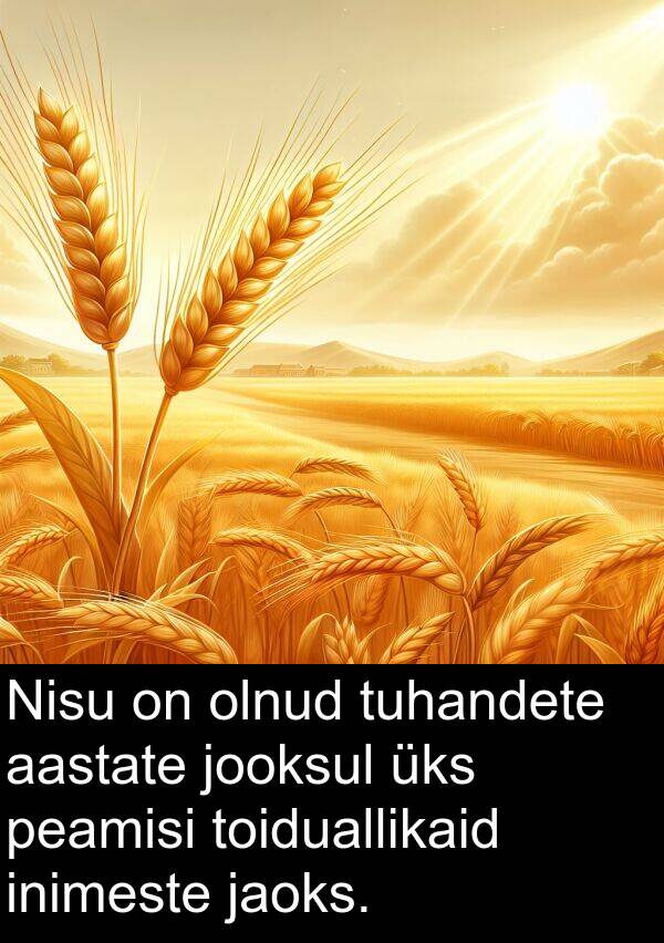 tuhandete: Nisu on olnud tuhandete aastate jooksul üks peamisi toiduallikaid inimeste jaoks.
