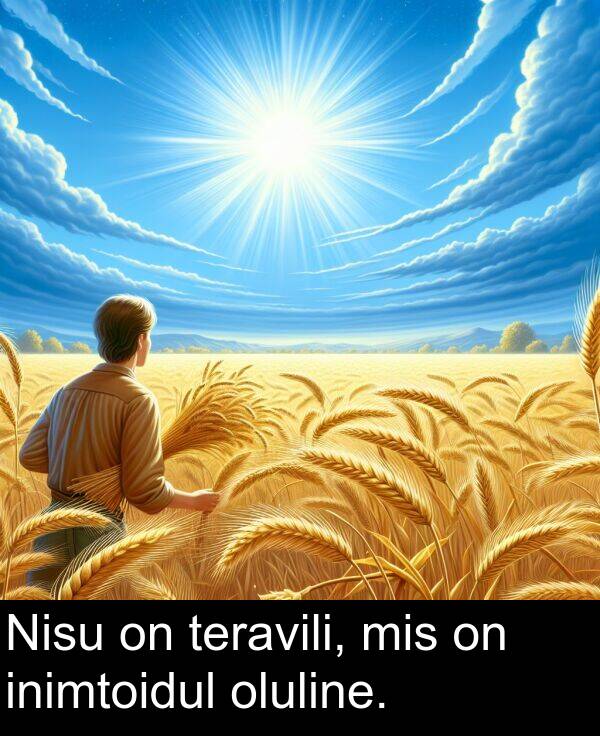 mis: Nisu on teravili, mis on inimtoidul oluline.