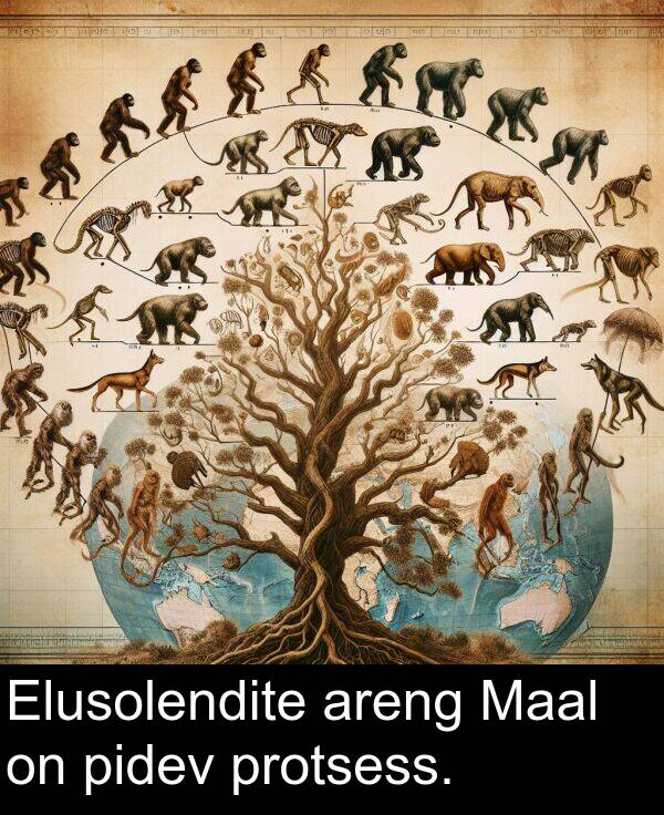 protsess: Elusolendite areng Maal on pidev protsess.