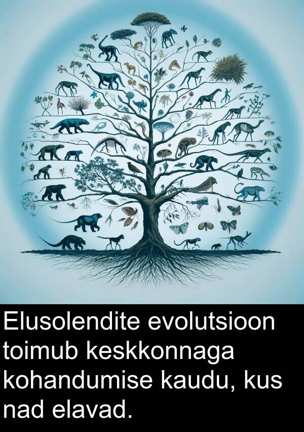 evolutsioon: Elusolendite evolutsioon toimub keskkonnaga kohandumise kaudu, kus nad elavad.