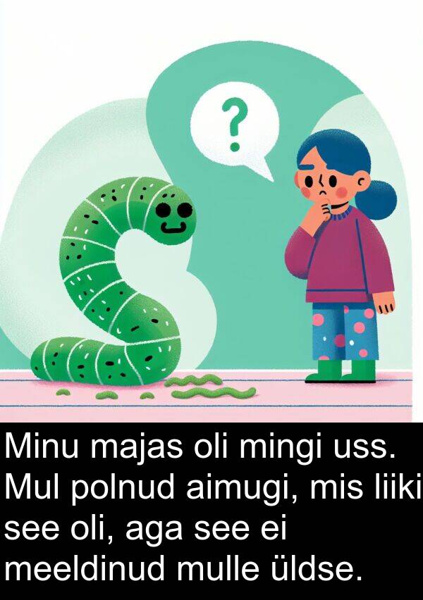 mingi: Minu majas oli mingi uss. Mul polnud aimugi, mis liiki see oli, aga see ei meeldinud mulle üldse.