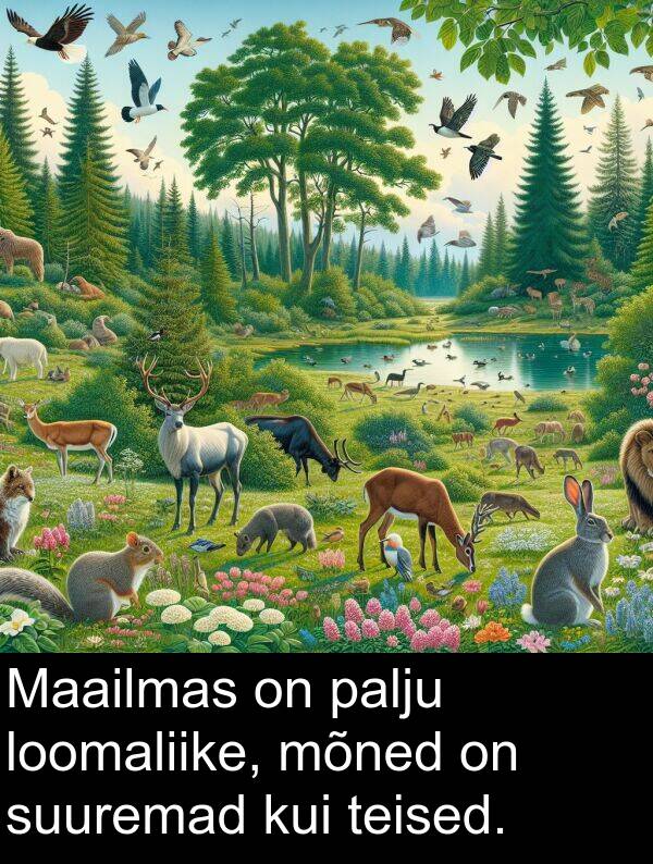 suuremad: Maailmas on palju loomaliike, mõned on suuremad kui teised.
