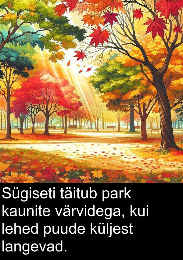 puude: Sügiseti täitub park kaunite värvidega, kui lehed puude küljest langevad.