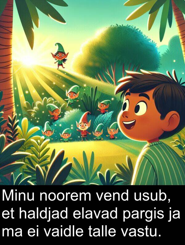 haldjad: Minu noorem vend usub, et haldjad elavad pargis ja ma ei vaidle talle vastu.