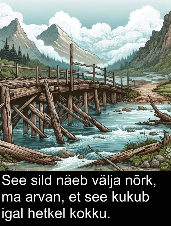 välja: See sild näeb välja nõrk, ma arvan, et see kukub igal hetkel kokku.