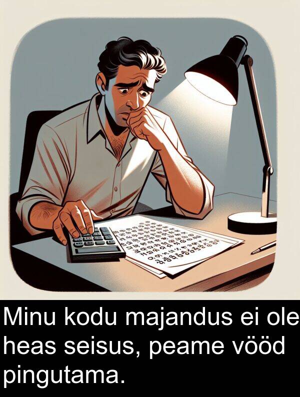 kodu: Minu kodu majandus ei ole heas seisus, peame vööd pingutama.