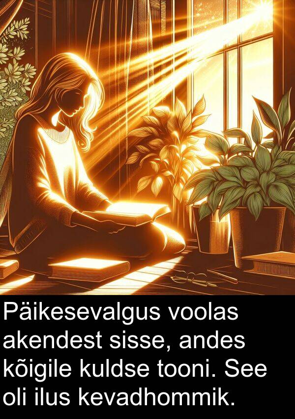 kõigile: Päikesevalgus voolas akendest sisse, andes kõigile kuldse tooni. See oli ilus kevadhommik.