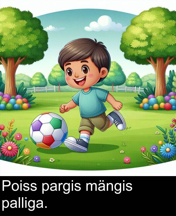mängis: Poiss pargis mängis palliga.