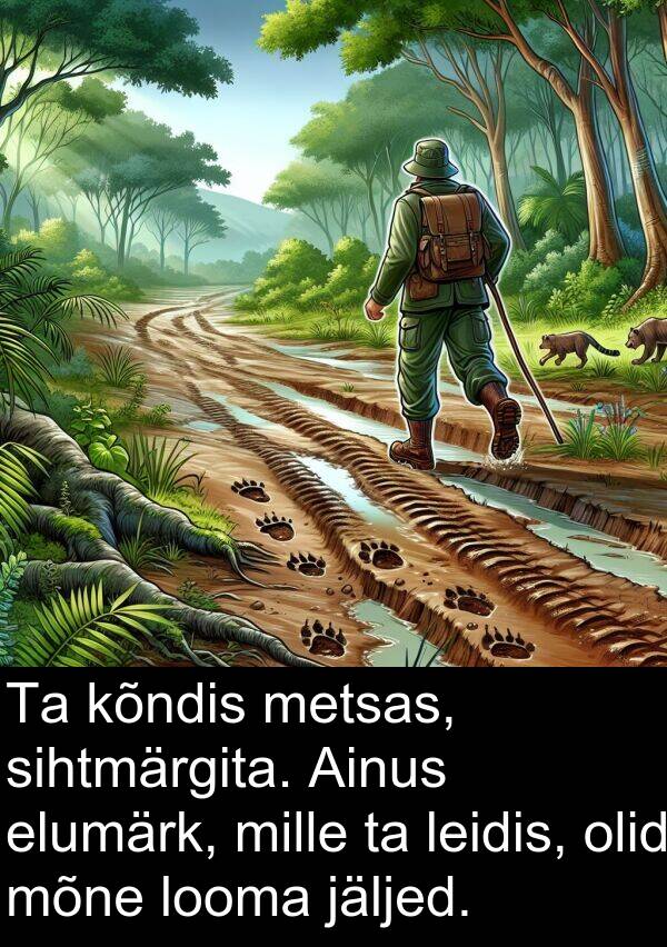 mõne: Ta kõndis metsas, sihtmärgita. Ainus elumärk, mille ta leidis, olid mõne looma jäljed.