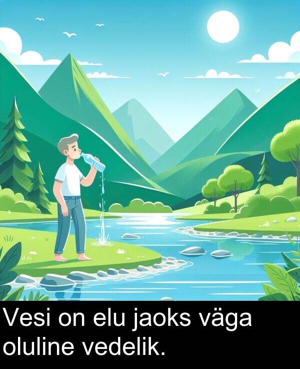 elu: Vesi on elu jaoks väga oluline vedelik.