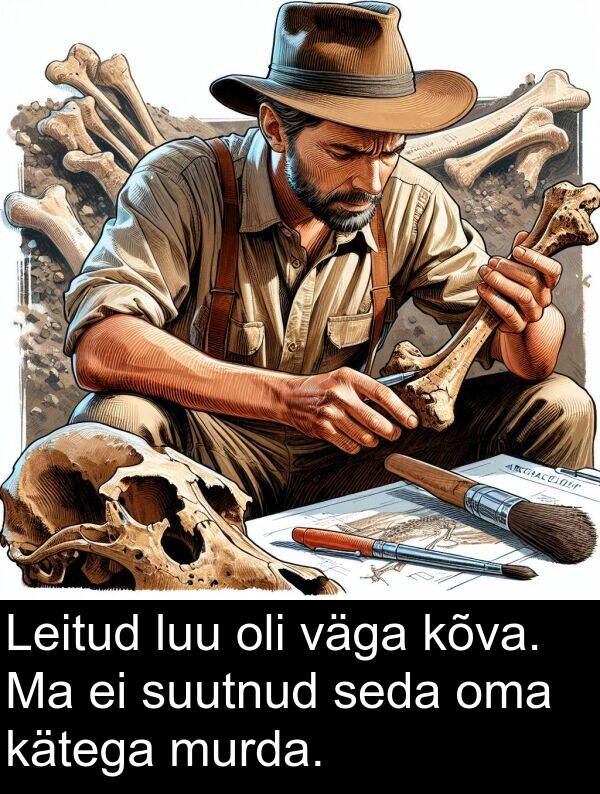 kõva: Leitud luu oli väga kõva. Ma ei suutnud seda oma kätega murda.