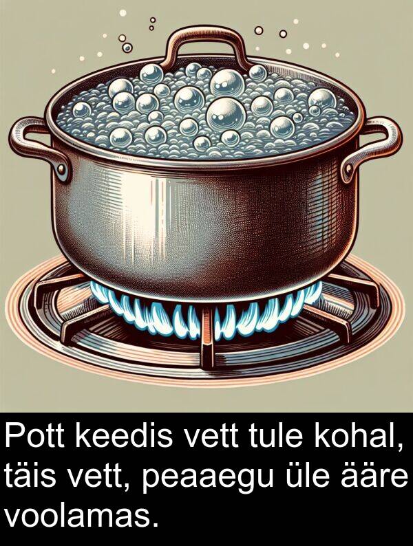 kohal: Pott keedis vett tule kohal, täis vett, peaaegu üle ääre voolamas.