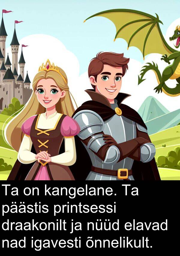 draakonilt: Ta on kangelane. Ta päästis printsessi draakonilt ja nüüd elavad nad igavesti õnnelikult.