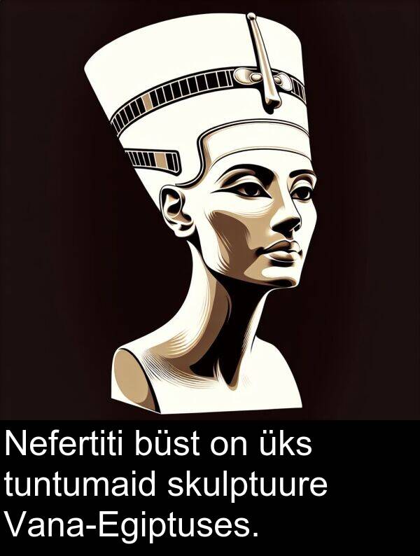 skulptuure: Nefertiti büst on üks tuntumaid skulptuure Vana-Egiptuses.