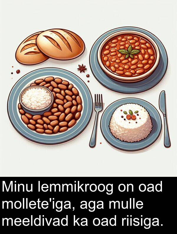 oad: Minu lemmikroog on oad mollete'iga, aga mulle meeldivad ka oad riisiga.