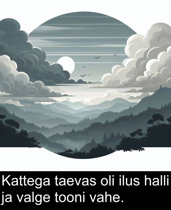 tooni: Kattega taevas oli ilus halli ja valge tooni vahe.