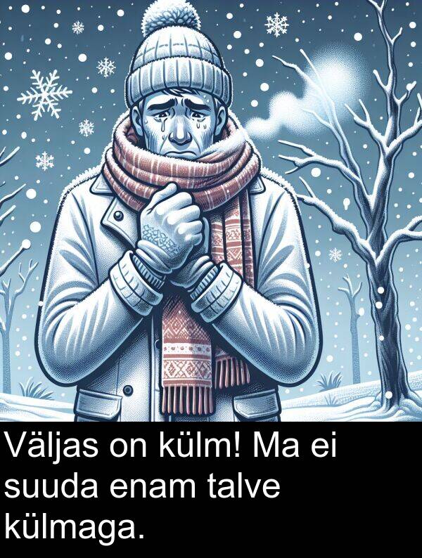 suuda: Väljas on külm! Ma ei suuda enam talve külmaga.