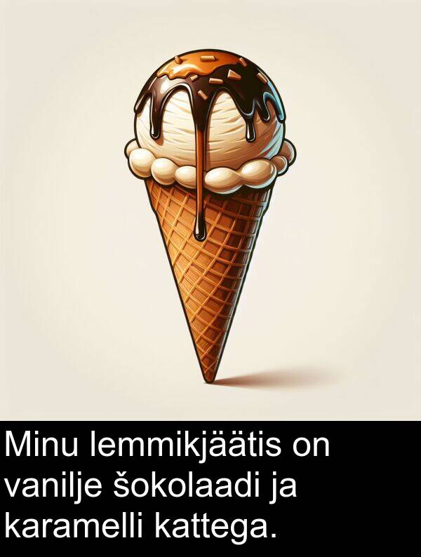 vanilje: Minu lemmikjäätis on vanilje šokolaadi ja karamelli kattega.