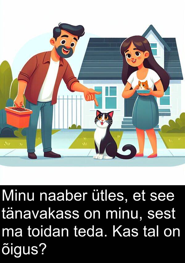 tänavakass: Minu naaber ütles, et see tänavakass on minu, sest ma toidan teda. Kas tal on õigus?