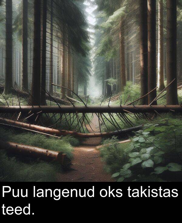 oks: Puu langenud oks takistas teed.