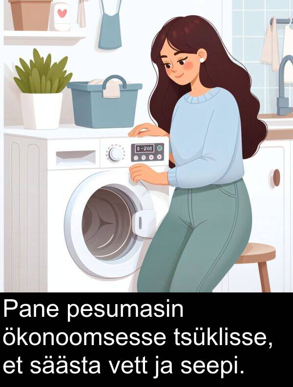 ökonoomsesse: Pane pesumasin ökonoomsesse tsüklisse, et säästa vett ja seepi.