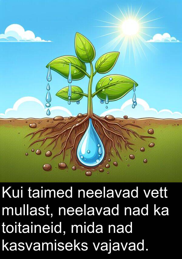 vett: Kui taimed neelavad vett mullast, neelavad nad ka toitaineid, mida nad kasvamiseks vajavad.