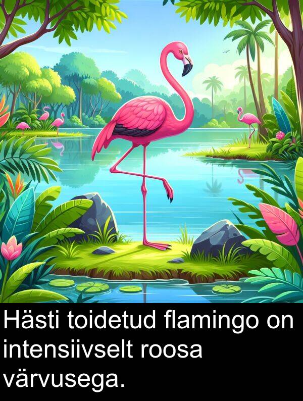 flamingo: Hästi toidetud flamingo on intensiivselt roosa värvusega.