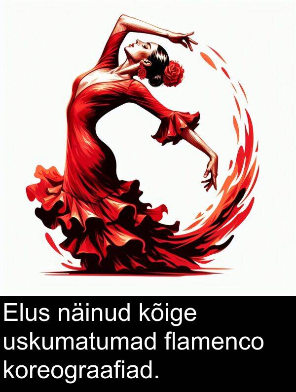 uskumatumad: Elus näinud kõige uskumatumad flamenco koreograafiad.