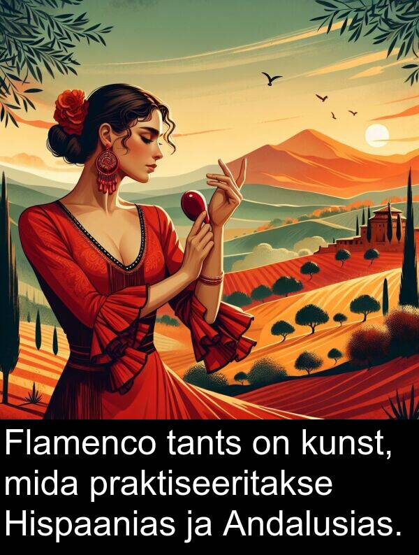 kunst: Flamenco tants on kunst, mida praktiseeritakse Hispaanias ja Andalusias.