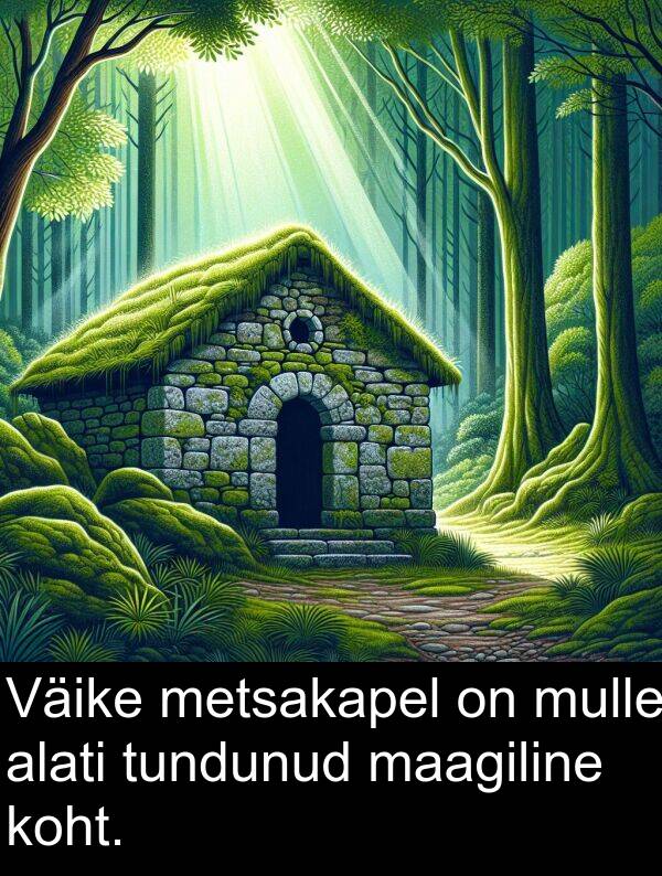 mulle: Väike metsakapel on mulle alati tundunud maagiline koht.
