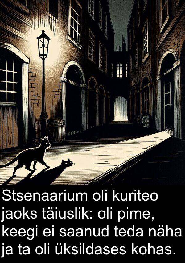 kuriteo: Stsenaarium oli kuriteo jaoks täiuslik: oli pime, keegi ei saanud teda näha ja ta oli üksildases kohas.