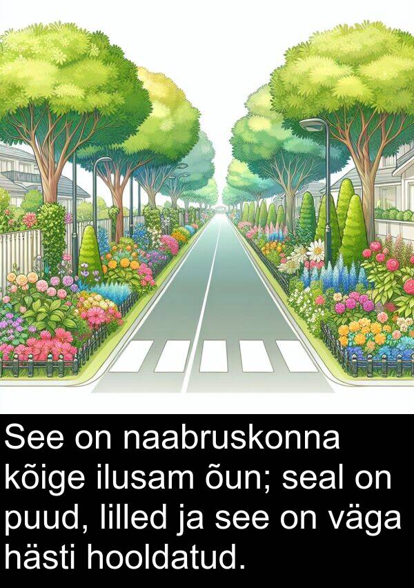 hooldatud: See on naabruskonna kõige ilusam õun; seal on puud, lilled ja see on väga hästi hooldatud.