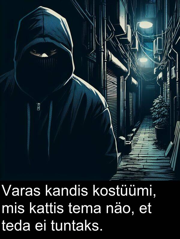 kostüümi: Varas kandis kostüümi, mis kattis tema näo, et teda ei tuntaks.