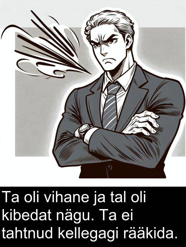 vihane: Ta oli vihane ja tal oli kibedat nägu. Ta ei tahtnud kellegagi rääkida.