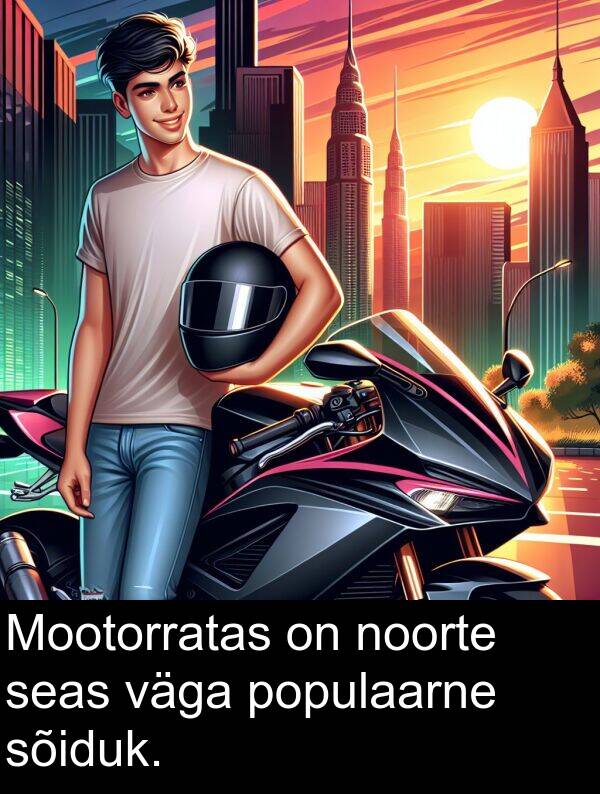 sõiduk: Mootorratas on noorte seas väga populaarne sõiduk.