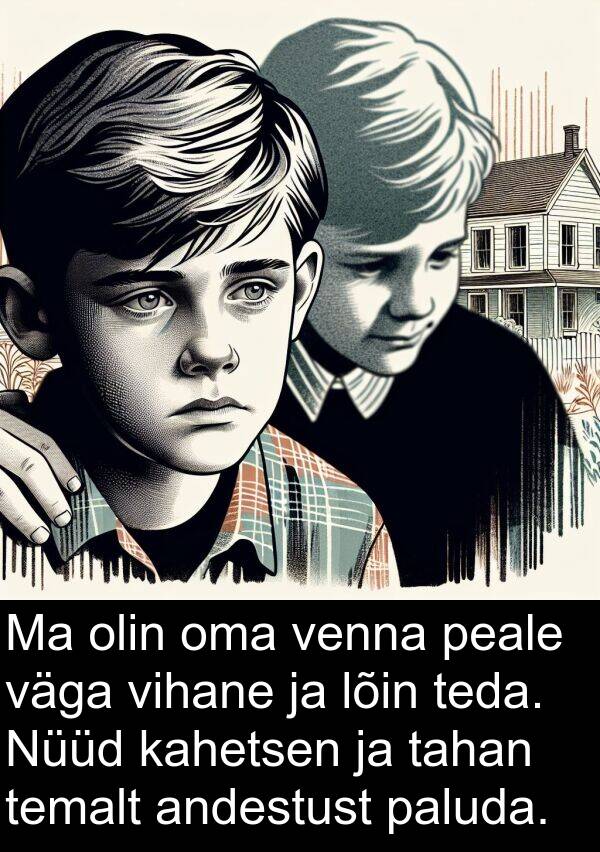 venna: Ma olin oma venna peale väga vihane ja lõin teda. Nüüd kahetsen ja tahan temalt andestust paluda.