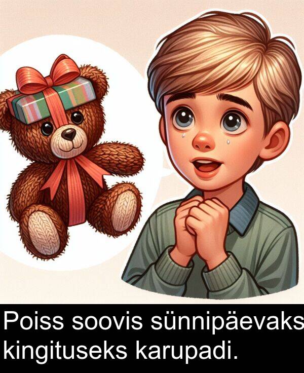 sünnipäevaks: Poiss soovis sünnipäevaks kingituseks karupadi.