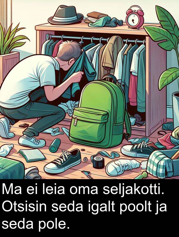 pole: Ma ei leia oma seljakotti. Otsisin seda igalt poolt ja seda pole.