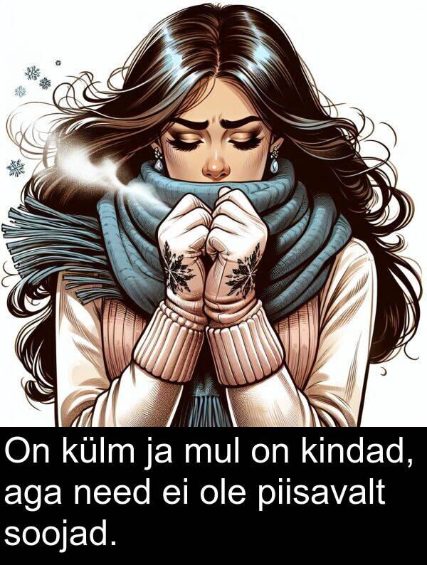külm: On külm ja mul on kindad, aga need ei ole piisavalt soojad.