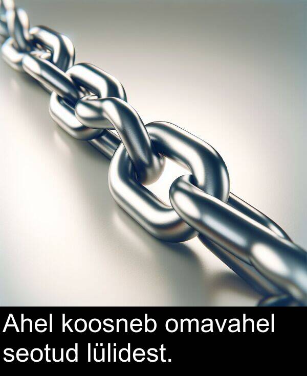 lülidest: Ahel koosneb omavahel seotud lülidest.