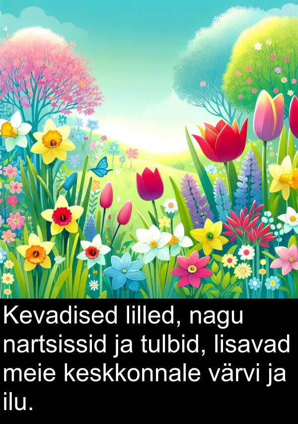 lisavad: Kevadised lilled, nagu nartsissid ja tulbid, lisavad meie keskkonnale värvi ja ilu.