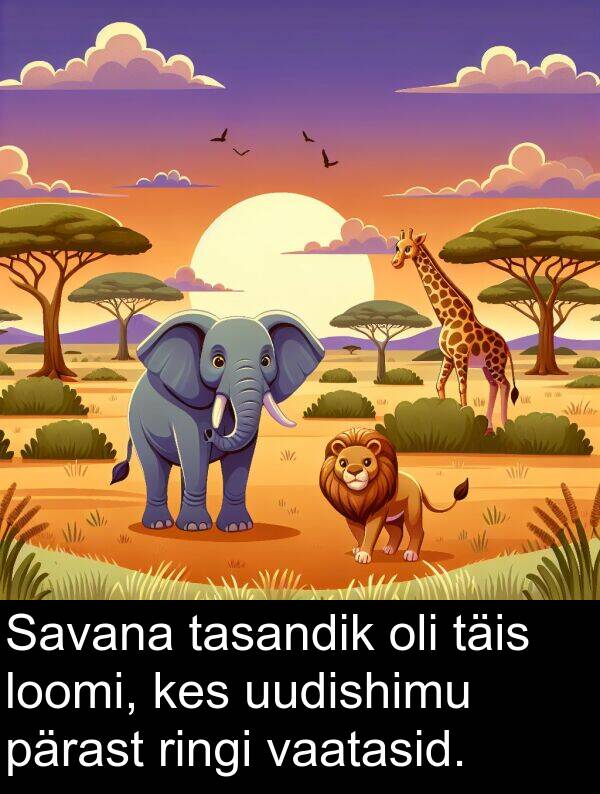 pärast: Savana tasandik oli täis loomi, kes uudishimu pärast ringi vaatasid.