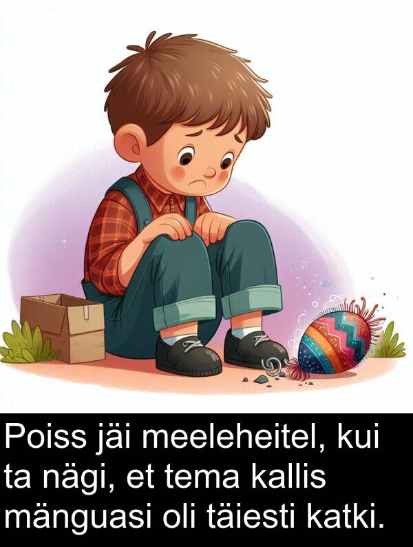 jäi: Poiss jäi meeleheitel, kui ta nägi, et tema kallis mänguasi oli täiesti katki.