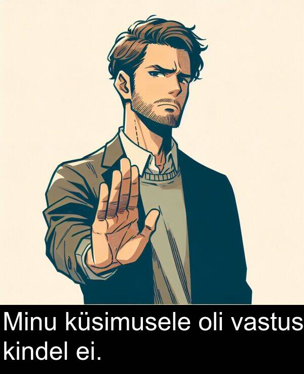 küsimusele: Minu küsimusele oli vastus kindel ei.