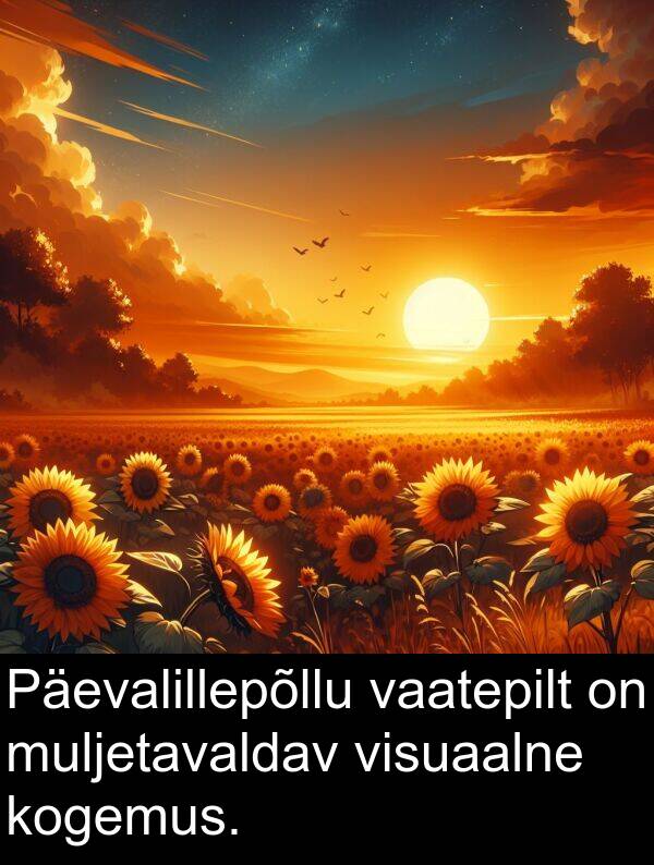 muljetavaldav: Päevalillepõllu vaatepilt on muljetavaldav visuaalne kogemus.