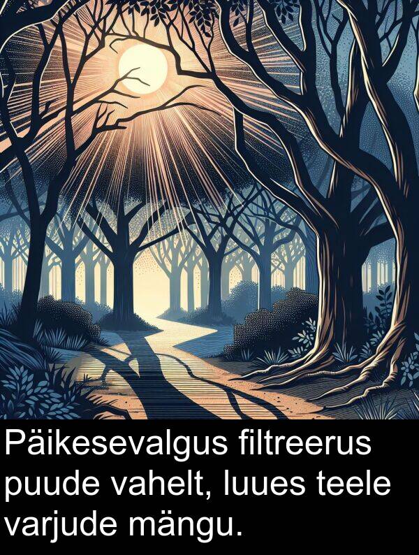 filtreerus: Päikesevalgus filtreerus puude vahelt, luues teele varjude mängu.