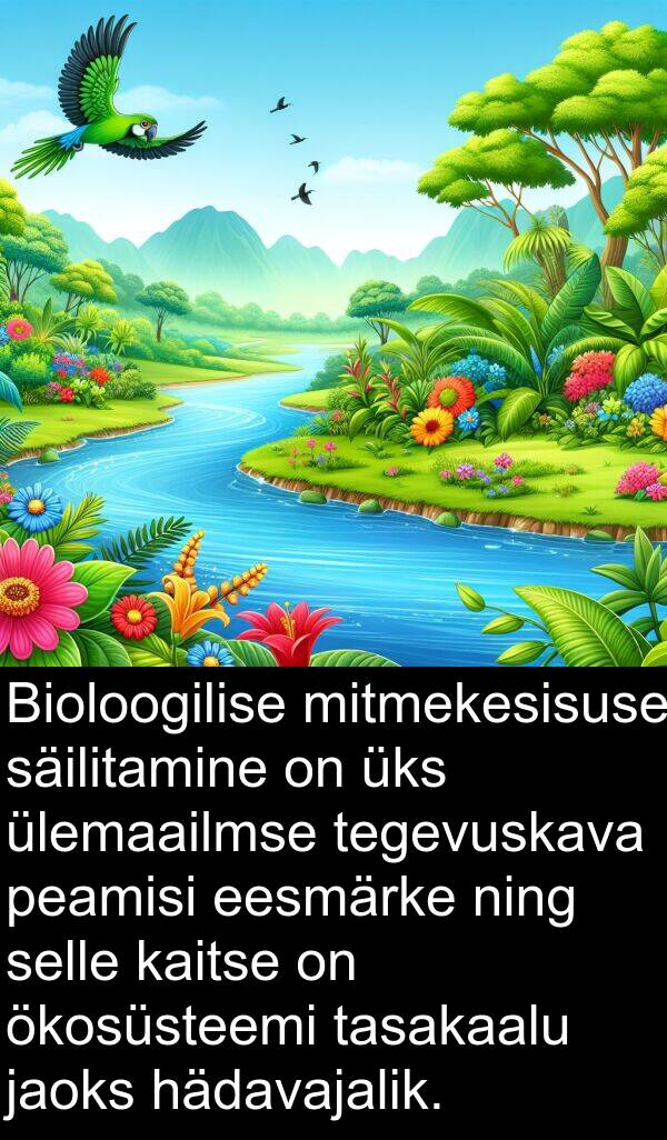 hädavajalik: Bioloogilise mitmekesisuse säilitamine on üks ülemaailmse tegevuskava peamisi eesmärke ning selle kaitse on ökosüsteemi tasakaalu jaoks hädavajalik.